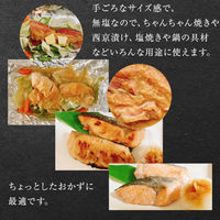 カネサン佐藤水産 北海道産 天然秋鮭 無塩 冷凍 切身 パック 600g 116652880 1箱（直送品）