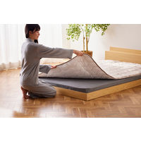 アイリスオーヤマ 敷きパッドBSPーTRVーSD BSP-TRV-SD 1枚（直送品）