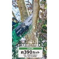 エスコ 250mm/DC36V チェーンソー(充電式) EA898CJ-21 1台（直送品）
