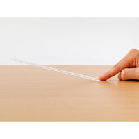 デザインフィル 定規<15cm> 透明A 42293006 1セット(20個)（直送品）