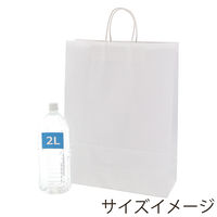 シモジマ 25チャームバッグ KA E晒白無地 003280420 1束(50枚)