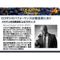 ブルガリア ロゴダジ シャルドネ・ヴェルメンティーノ 白ワイン 辛口 750ml 1本 三菱食品