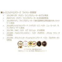 チリ ルイスフェリペエドワーズ カベルネソーヴィニョン 赤ワイン ミディアムボディ 250ml 1セット(1本×2) 三菱食品