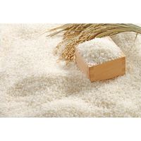 低温製法米 宮城県産 だて正夢　2kg 1袋 精白米 令和7年産 アイリスフーズ 米