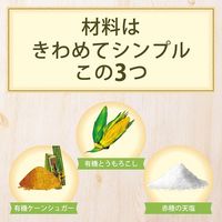 Feel&Green やさしいコーンフレークケーンシュガー 140g 1袋 日本食品製造 シリアル