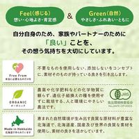 Feel&Green やさしいコーンフレークプレーン 120g 1袋 日本食品製造 シリアル