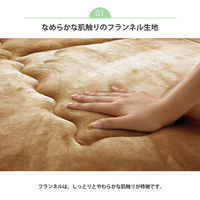 イケヒコ・コーポレーション スムース こたつ敷 ベージュ 190×190cm 1161580020809 1個（直送品）