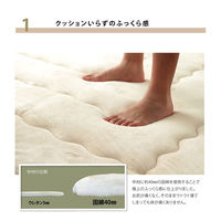 イケヒコ フィーラ こたつ敷 ベージュ 190×190cm 1161700020809 1個（直送品）