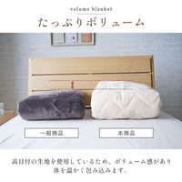 イケヒコ・コーポレーション ヴァルム 敷パッド ピンク 100×205cm 1195660220101 1個（直送品）