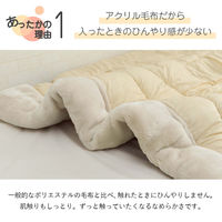 イケヒコ アクリル毛布 掛け布団 - 140×200cm 1203150013502 1個（直送品）
