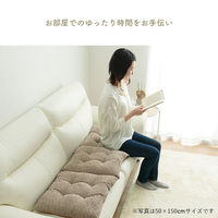 イケヒコ ラクーサ フリーシート ベージュ 50×100cm 1211860025601 1個（直送品）