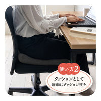 イケヒコ フィース その他 ブラック 40×40cm 1212080038501 1個（直送品）