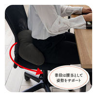 イケヒコ フィース その他 ブラック 45×30cm 1212080038601 1個（直送品）