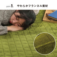 イケヒコ レイヤー キルトラグ 2400×2000mm ブラウン 1292641066401 1枚（直送品）