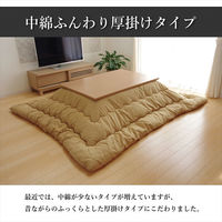 イケヒコ・コーポレーション デニム 掛布団 ブラック 205×285cm 1380000002491 1個（直送品）