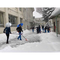 トレードワン 傘 手ぶら傘 作業用 レイングッズ 461531 1個（直送品）