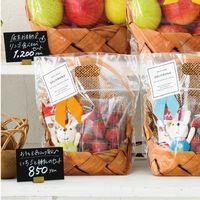 ヘッズ フォトプリントジップ付バッグ／カゴーＳ（３０枚） PPK-ZS 1袋(30枚)