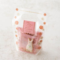 ヘッズ シェリーデイジーＰＰスタンドバッグー３（３０枚） DSY-OSB3 1袋(30枚)