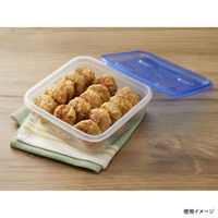 旭化成ホームプロダクツ 保存容器 ジップロック コンテナー 正方形700ml 2個入 00536355 1ケース(24個)（直送品）