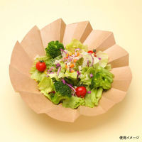 シンメイ デリボックス おりがみカップ 小 茶 00661874 1袋(20個)（直送品）