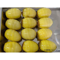 アストラ スライサー FAP-1001 匠助 1点（直送品）