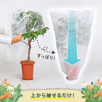 アストロ 植木が見える 不織布防虫・霜よけカバー 5枚組 520-39 1セット(5枚)（直送品）