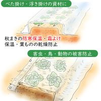 アストロ 家庭菜園・園芸用 不織布シート1.6*10 602-60S 1枚（直送品）