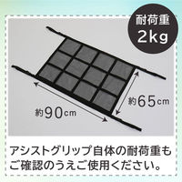 アストロ 車の天井収納ネット 607-55 1個（直送品）