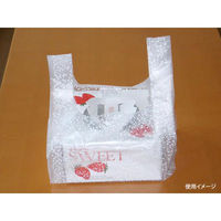 リュウグウ レジ袋 SDバッグ No.5-かすみ 4201525 1ケース(500個(50個×10))（直送品）