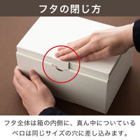 ヘッズ 無地オフホワイトギフトボックス-8 外寸：W303×D208×H65mm MOW-GB8 1袋（10枚入）