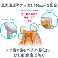 バトラー エフペースト α メディカルハーブ 90g 1セット（3本） サンスター BUTLER 歯磨き粉 高濃度フッ素 1450ppm