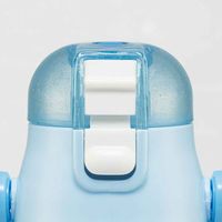 スケーター 水筒 580ml 超軽量ダイレクトボトル アナと雪の女王24 保冷専用 448197 1個（直送品）