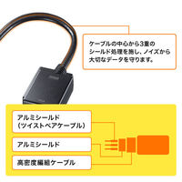 サンワサプライ  DisplayPort-VGA変換アダプタ AD-DPV06（直送品）