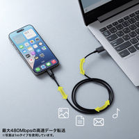 サンワサプライ  USB 2.0 Type-Cケーブル（C-A・2m・ブラック） KU-CA20BK（直送品）