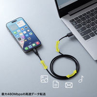 サンワサプライ  USB 2.0 Type-Cケーブル（C-A・1m・ブラック） KU-CA10BK（直送品）