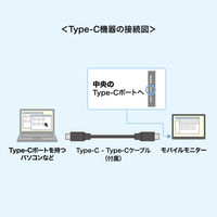 サンワサプライ  タッチパネル搭載モバイルモニター（15.6インチ・フルHD） DP-06（直送品）