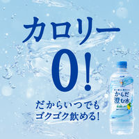 アサヒ飲料 アサヒ おいしい水 天然水 からだ澄む水 600ml 1箱（24本入）