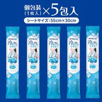 白元アース アイスノン 冷んやりタオル 1袋（1枚×5包入）