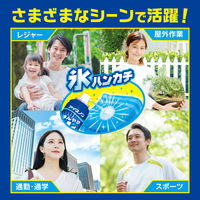 白元アース アイスノン 冷んやり氷スプレー134ｍL 1本