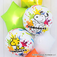 宝興産 ibrex PEANUTS(スヌーピー)コングラッツスプラッシュ 0201519103 1袋