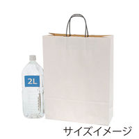 シモジマ 手提げ紙袋 25チャームバッグ 2才 エコデュオWH 4901755357110 1袋(50枚)