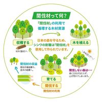 MO-34 北海道の松天削箸 15膳 4973631088340 1個