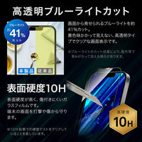 iPhone 16e/iPhone 14/iPhone 13 ガラスフィルム セラミックコーティング 全面保護 ブルーライトカット（直送品）