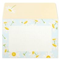 フロンティア ミニレターセット 空色とデイジー MLS-118 1セット（直送品）