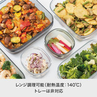 吉川国工業所 調理ができる保存容器　Ｍ（3個組） ＦＣー031_Ｃｒ 1セット