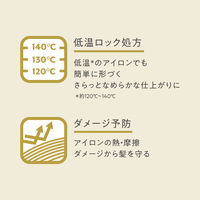 リーゼ　ブリーチヘア用アイロン下地セラム　120ml 花王