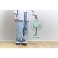 アピックスインターナショナル アピックス レトロ扇風機 AFRー175(GR) 1台