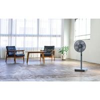 アピックスインターナショナル アピックス ソーラーパワーリビングファン AEFー900R AEF-900R(GY) 1台