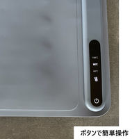 富士商 Felio フードウォーマー大判 料理食事保温シリコン製プレート 温度調節 BW601 1個（直送品）