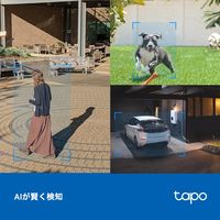 TPーLINK 屋外ネットワークWiFiカメラ パン・チルト IP66防水 Micro SD対応 TAPO C520WS 1個